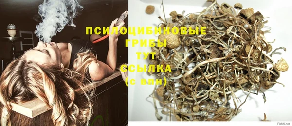 наркотики Заводоуковск