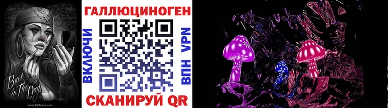 kraken онион  дарнет шоп  Камбарка  Псилоцибиновые грибы прущие грибы 